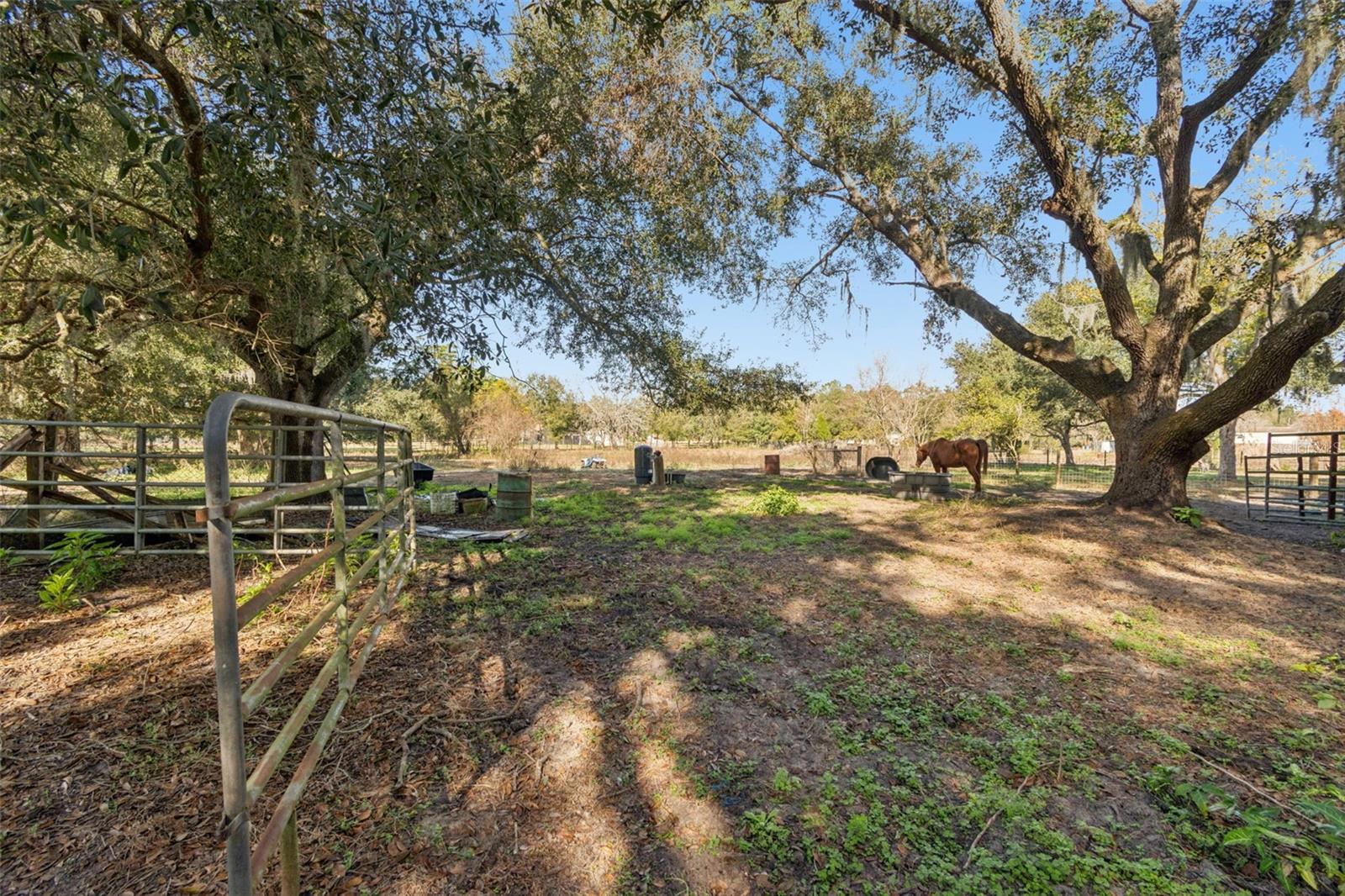 Listing photo id 28 for 28538 Rice Road