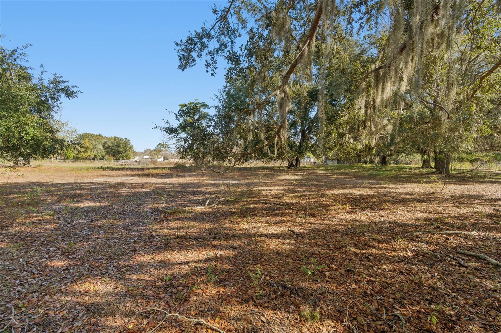 Listing photo id 30 for 28538 Rice Road