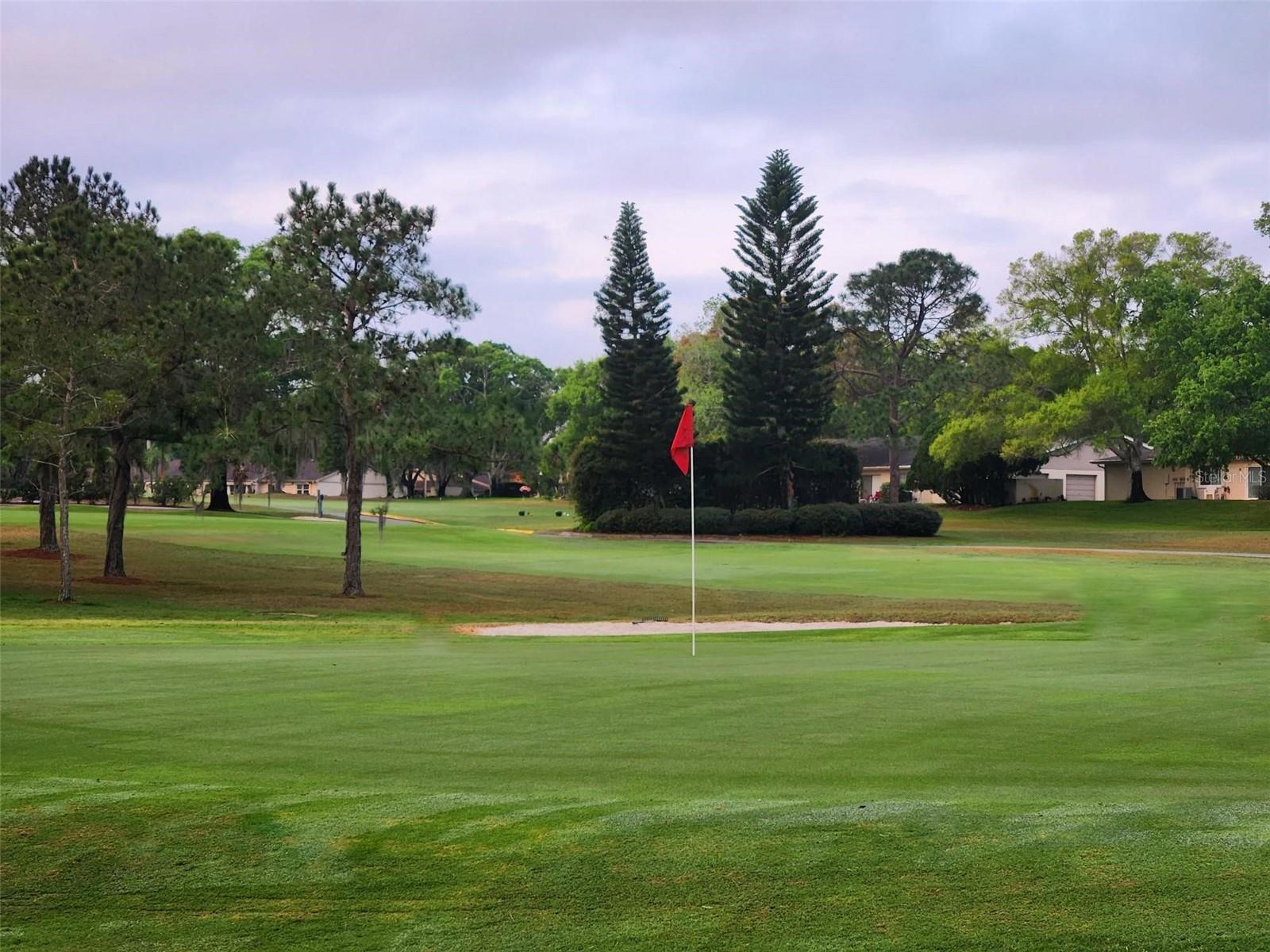 Listing photo id 51 for 3408 Stirling Road