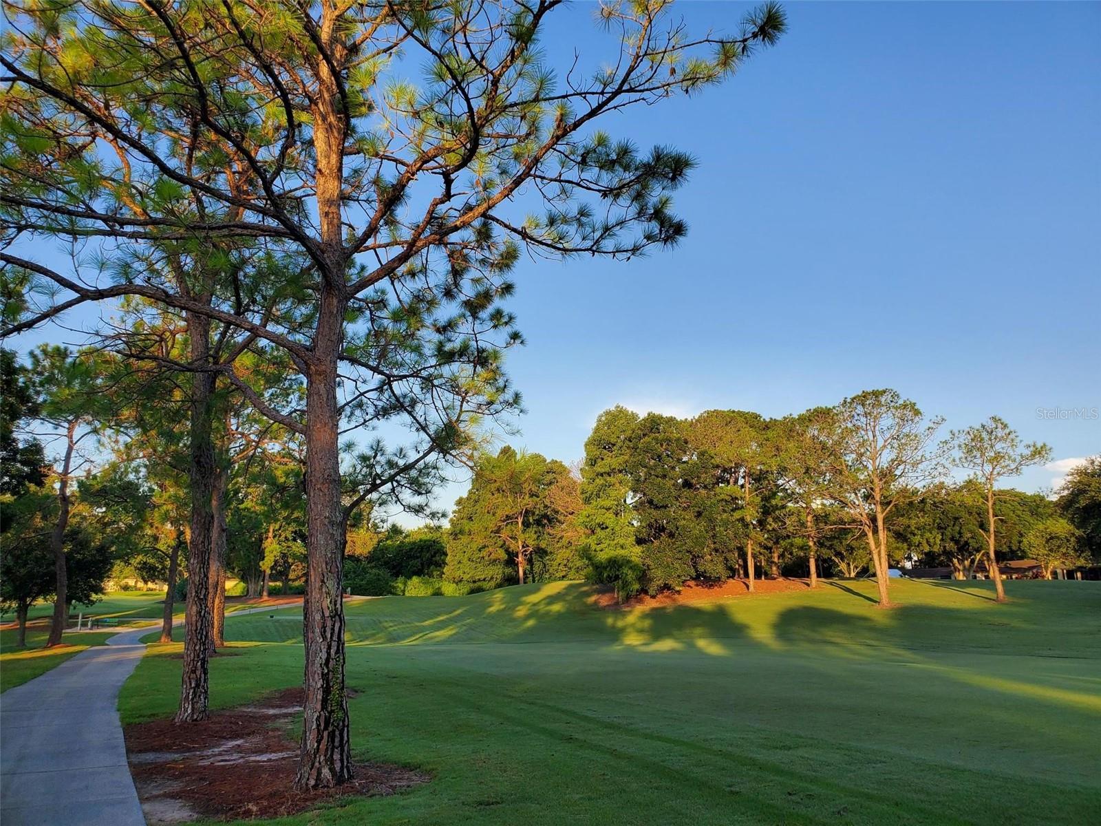 Listing photo id 53 for 3408 Stirling Road