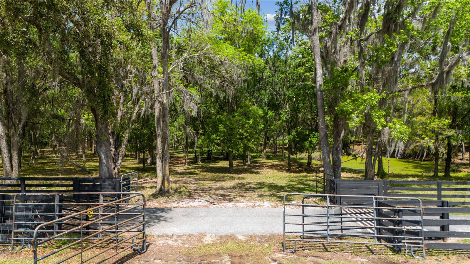 Listing photo id 49 for 12345 Citrus Way