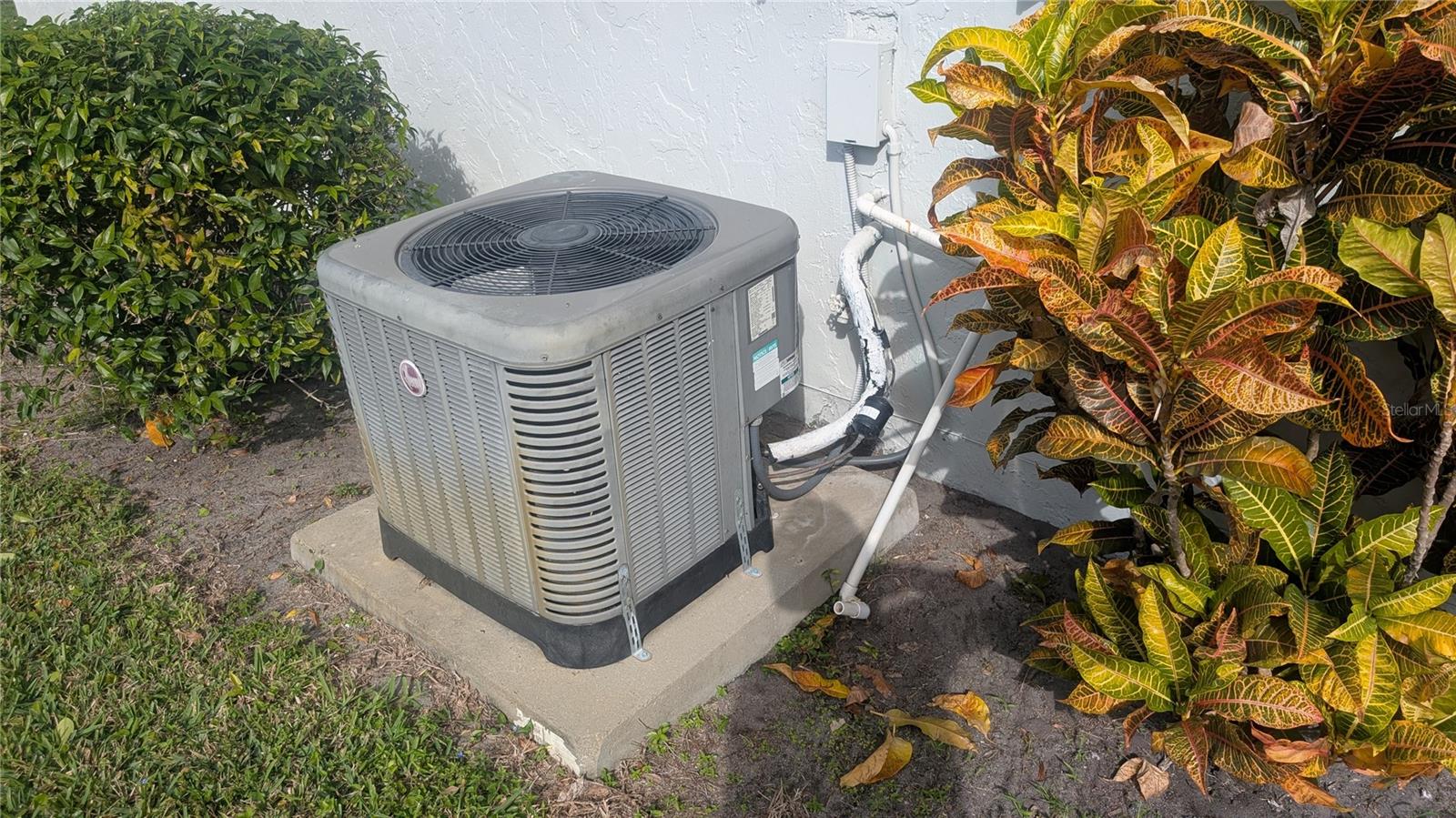 Image 40 of 59 For 438 Bluebird Lane