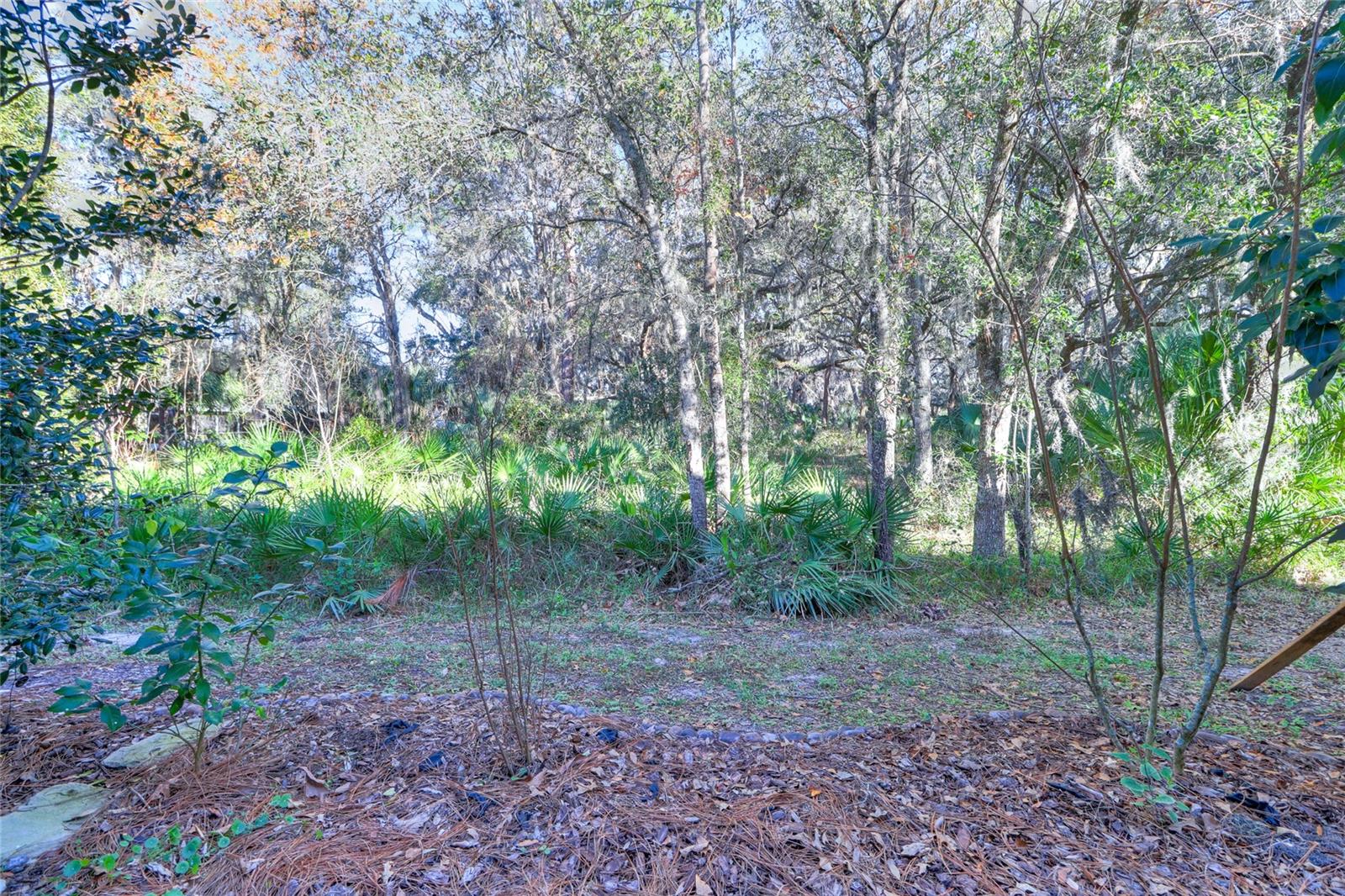 Image 46 of 48 For 20119 Weeping Laurel Place