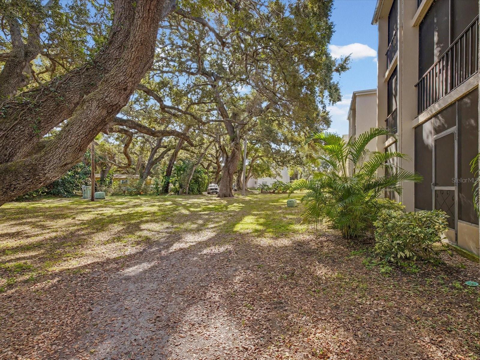 Image 31 of 71 For 865 Virginia Court 101