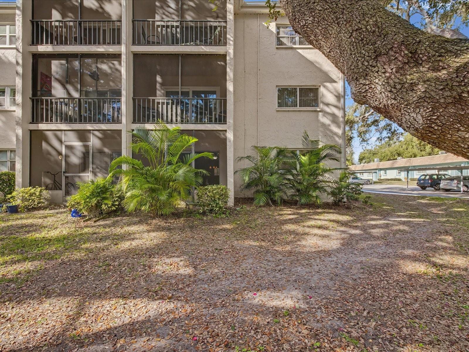 Image 32 of 71 For 865 Virginia Court 101