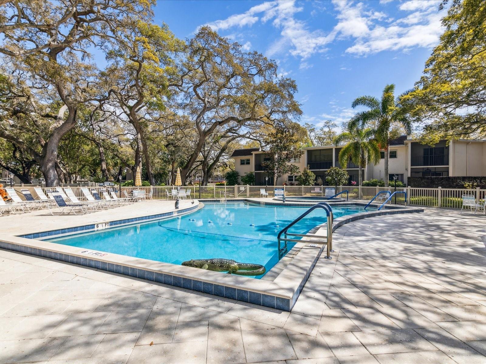 Image 35 of 71 For 865 Virginia Court 101