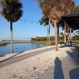 Image 47 of 61 For 1000 Cove Cay Drive 3b