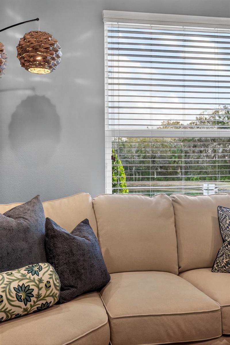 Image 37 of 93 For 27020 Evergreen Chase Drive