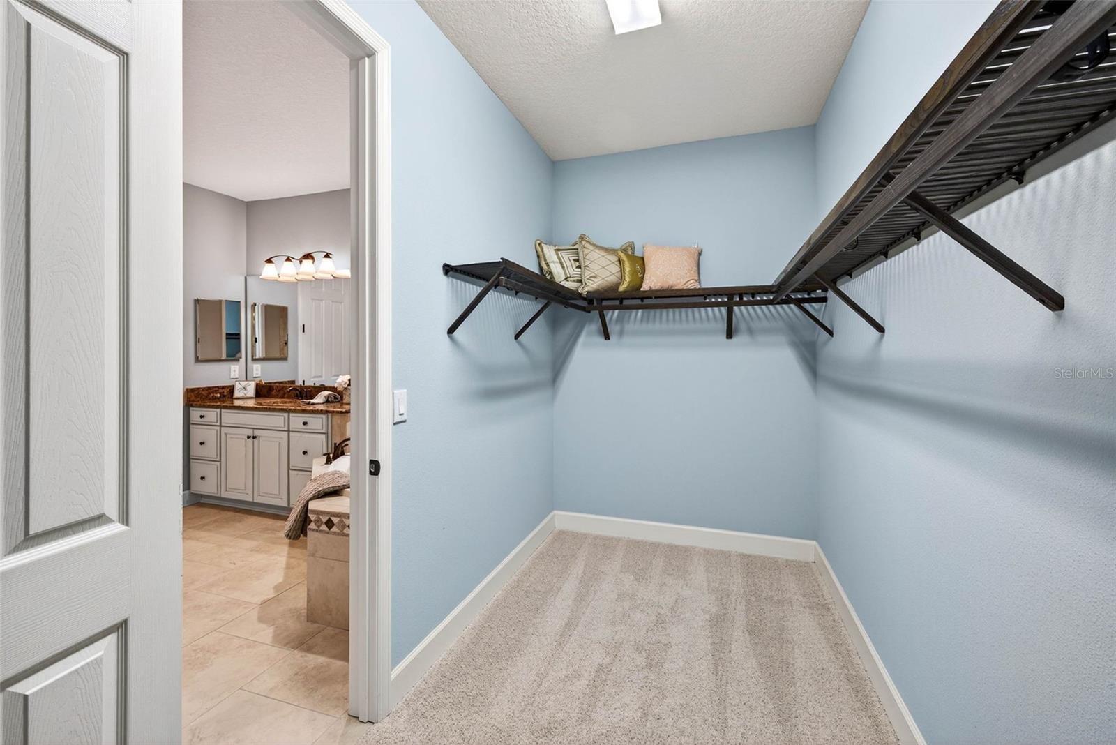 Image 70 of 93 For 27020 Evergreen Chase Drive