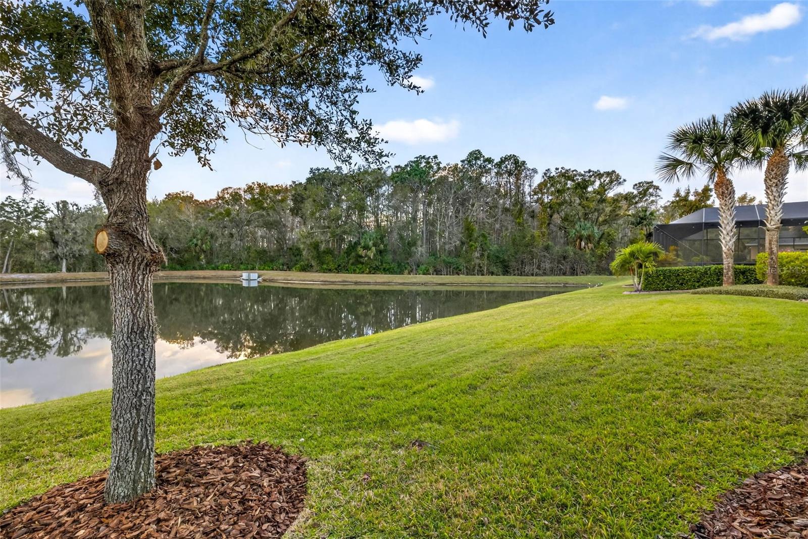 Image 77 of 93 For 27020 Evergreen Chase Drive