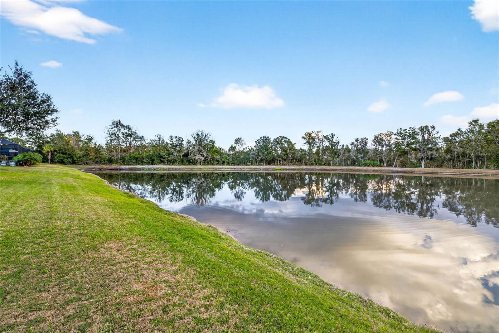 Image 79 of 93 For 27020 Evergreen Chase Drive