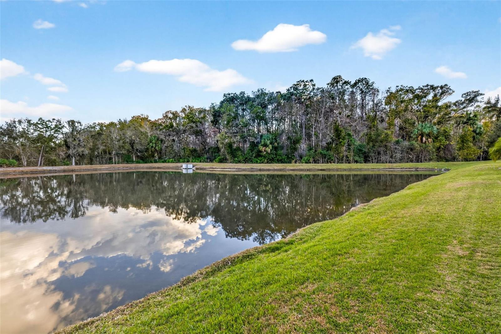 Image 80 of 93 For 27020 Evergreen Chase Drive