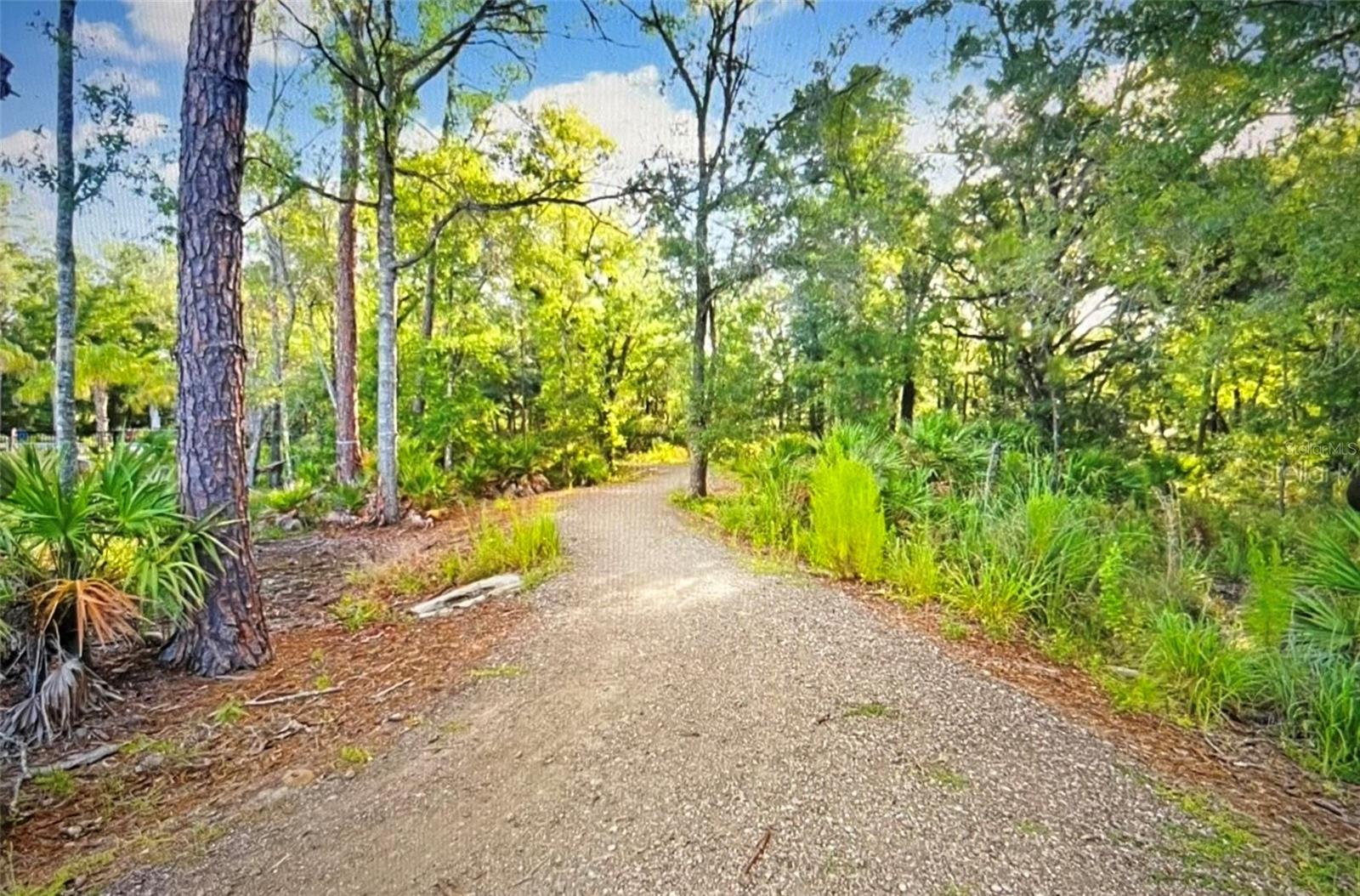 Image 58 of 62 For 4206 Tour Trace