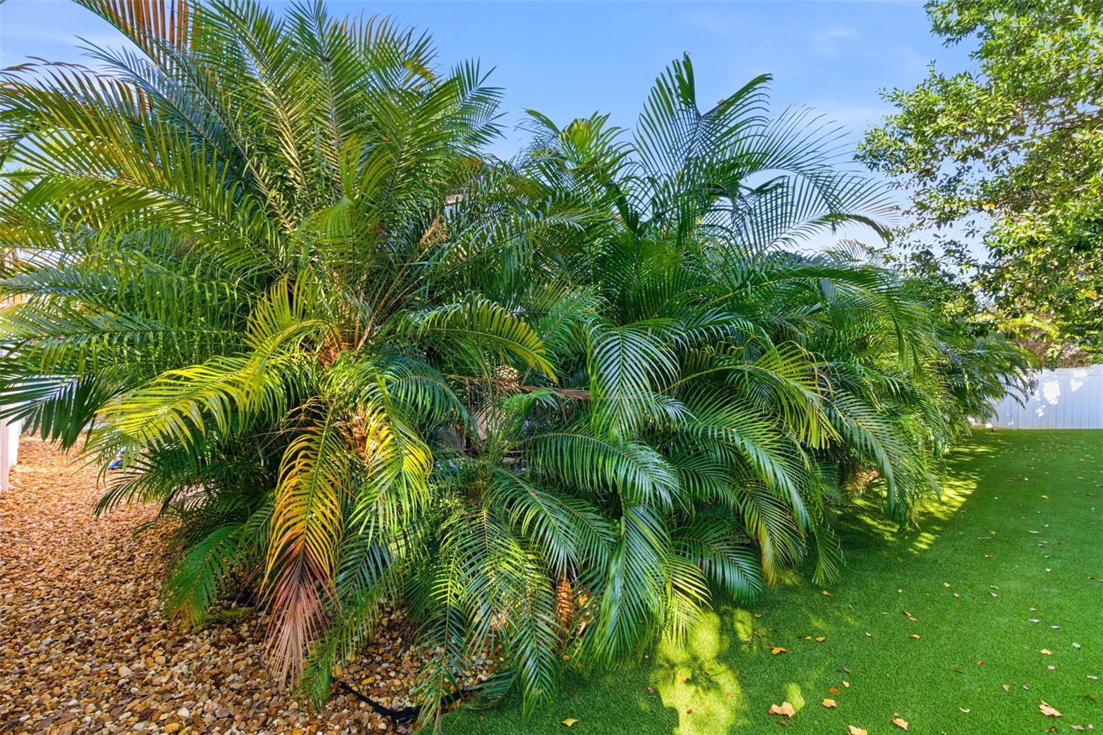 Image 54 of 73 For 11012 Charmwood Drive