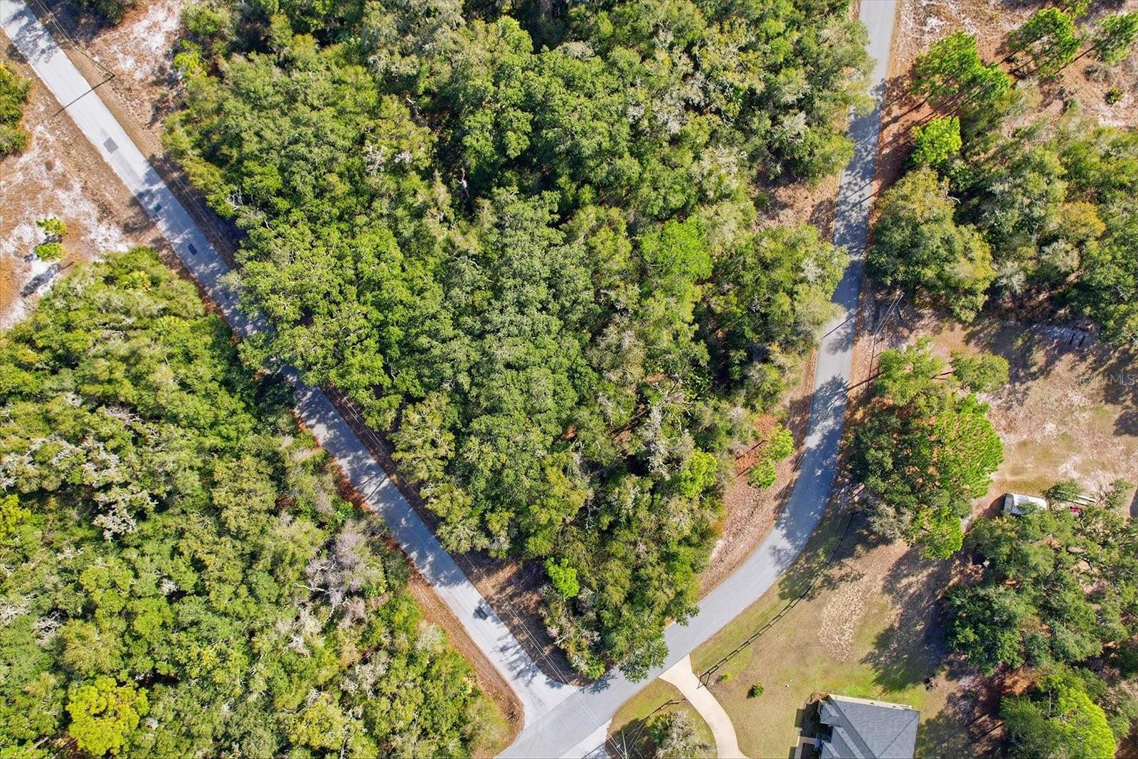 Image 10 of 15 For 9659 Cacalia Drive