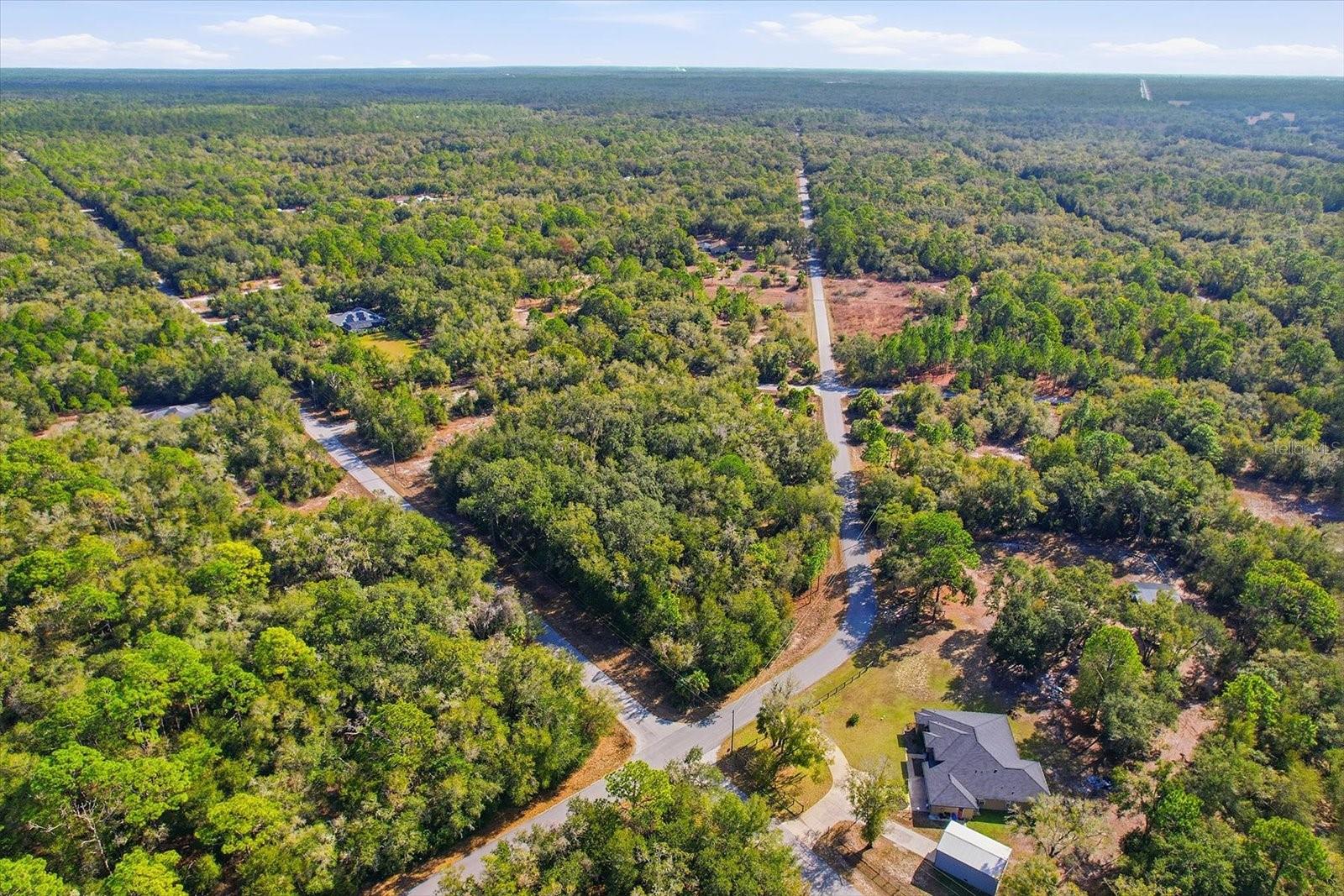 Image 11 of 15 For 9659 Cacalia Drive