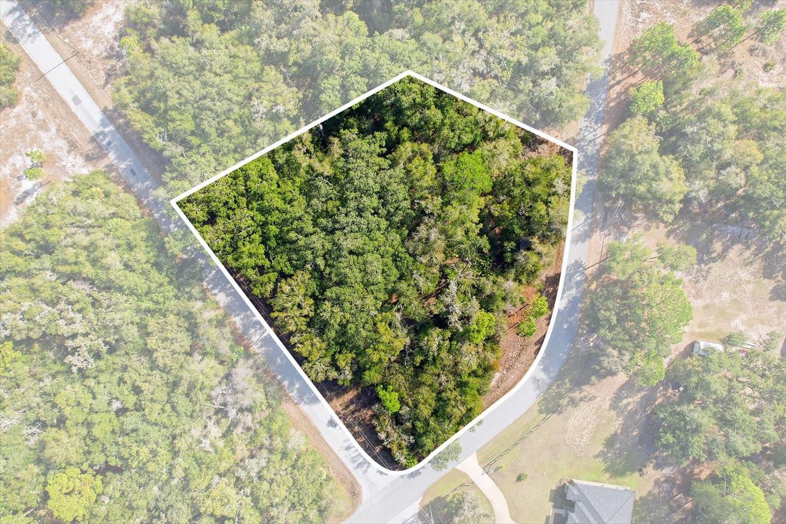 Image 3 of 15 For 9659 Cacalia Drive