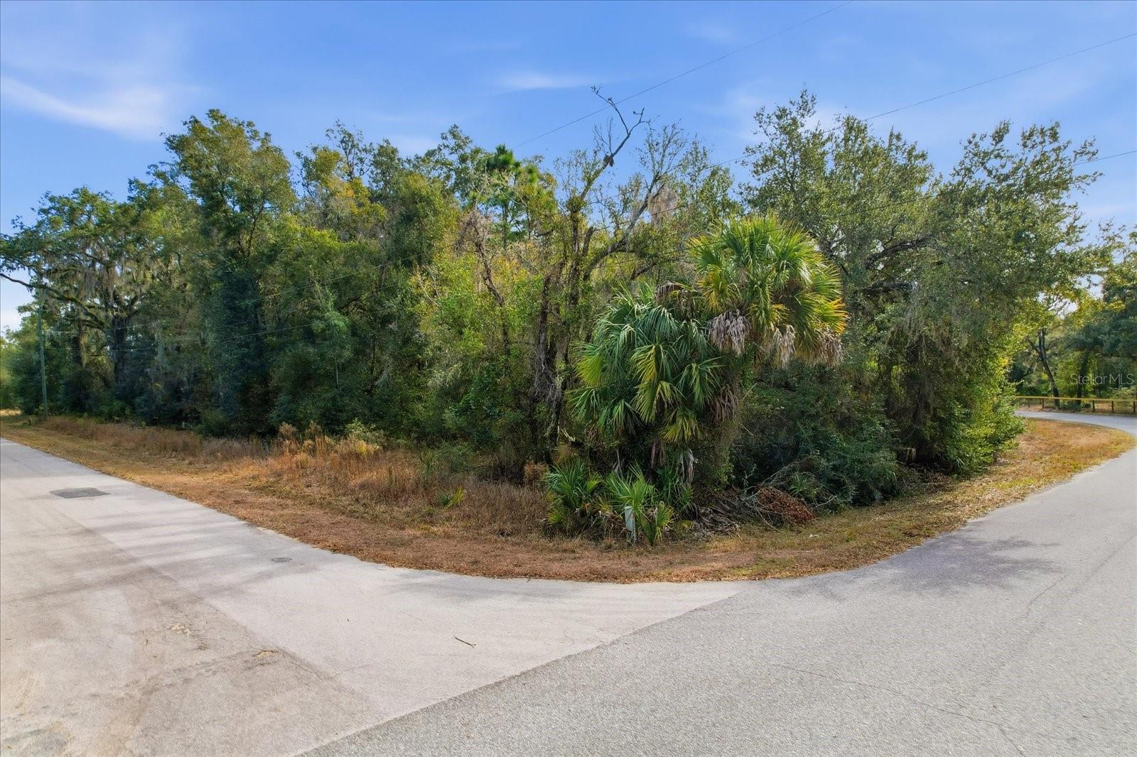 Image 4 of 15 For 9659 Cacalia Drive