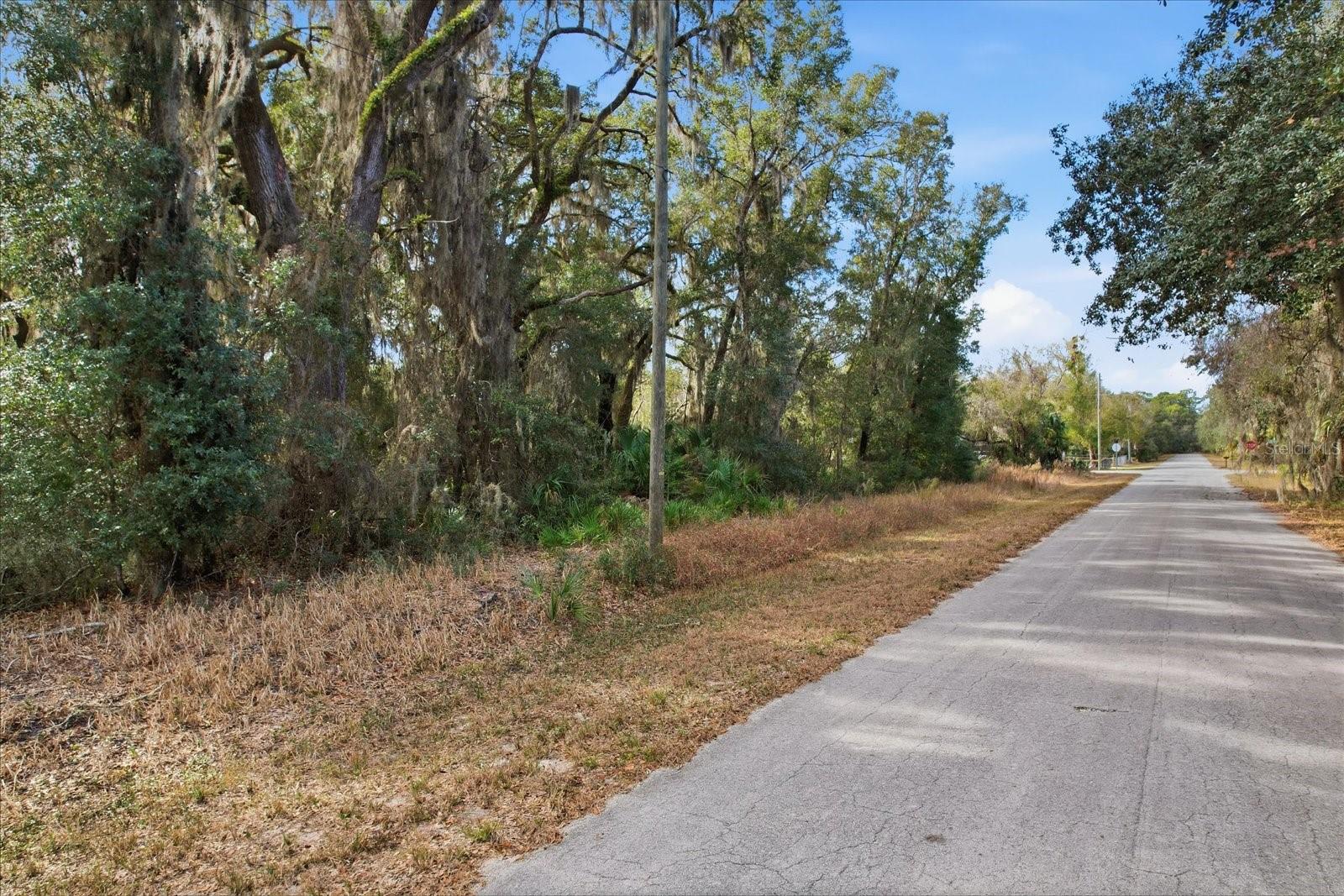 Image 5 of 15 For 9659 Cacalia Drive