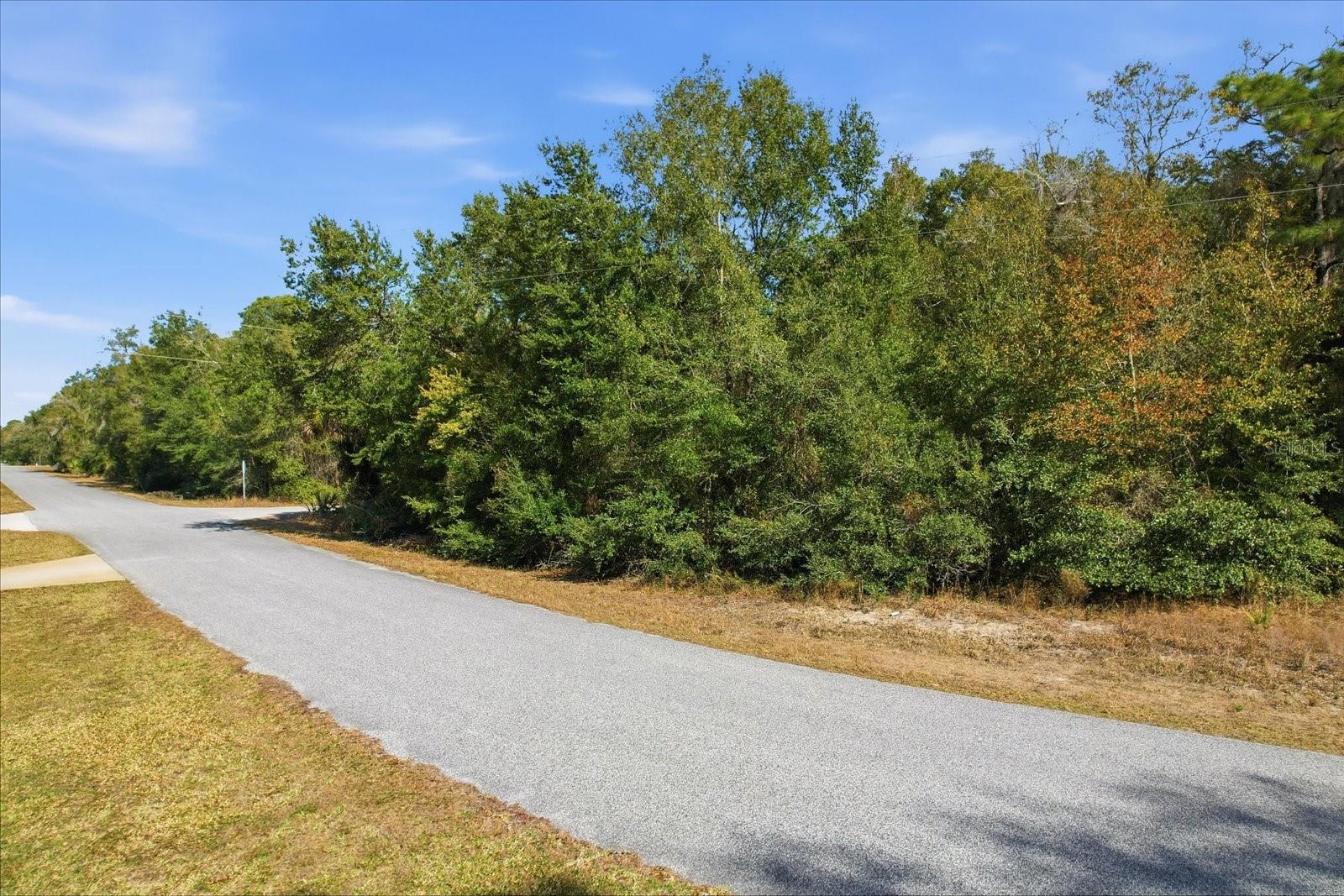 Image 6 of 15 For 9659 Cacalia Drive