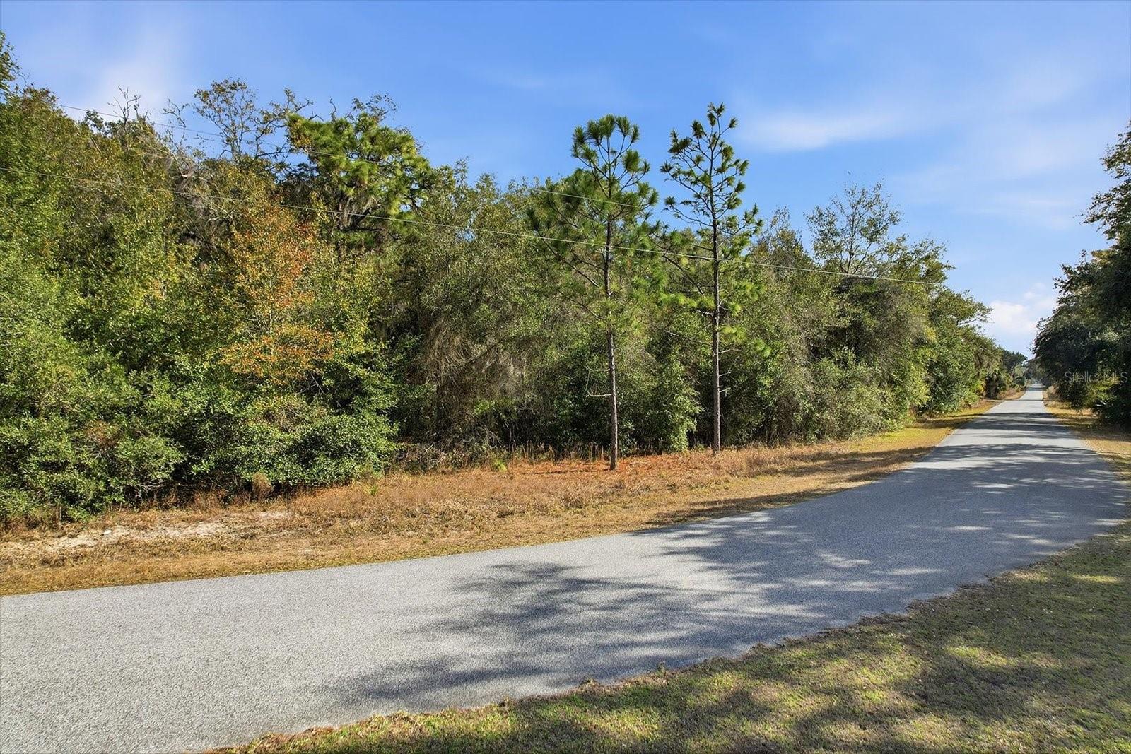 Image 7 of 15 For 9659 Cacalia Drive