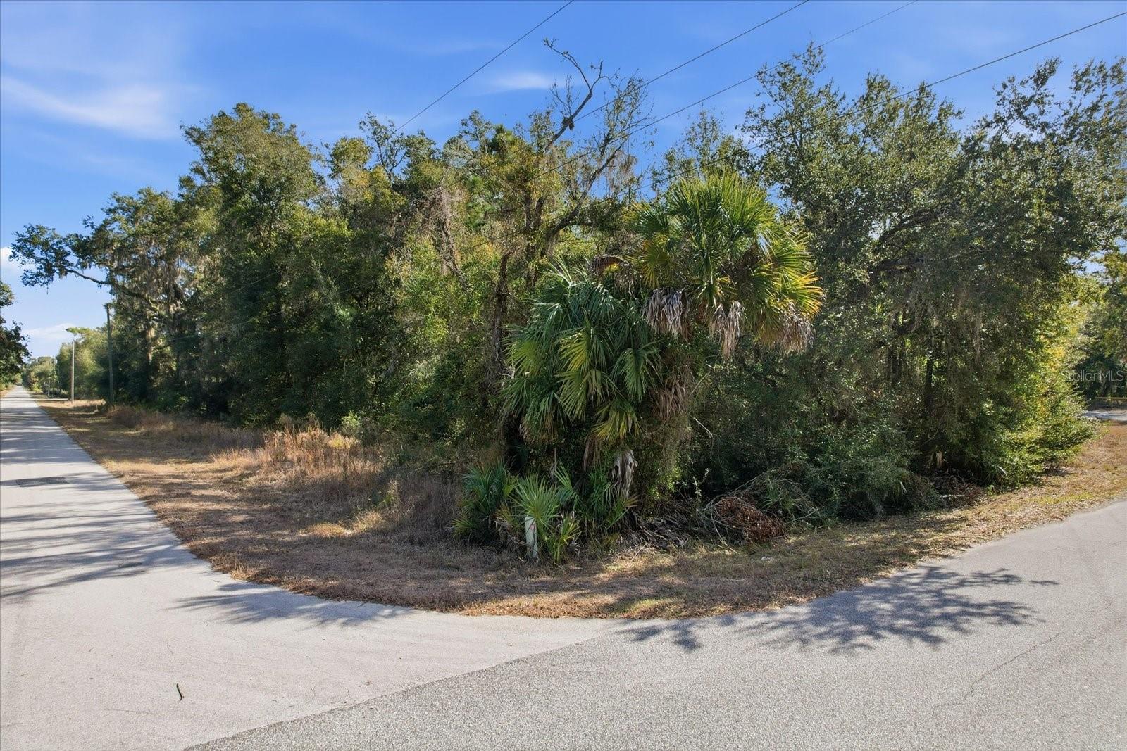 Image 8 of 15 For 9659 Cacalia Drive