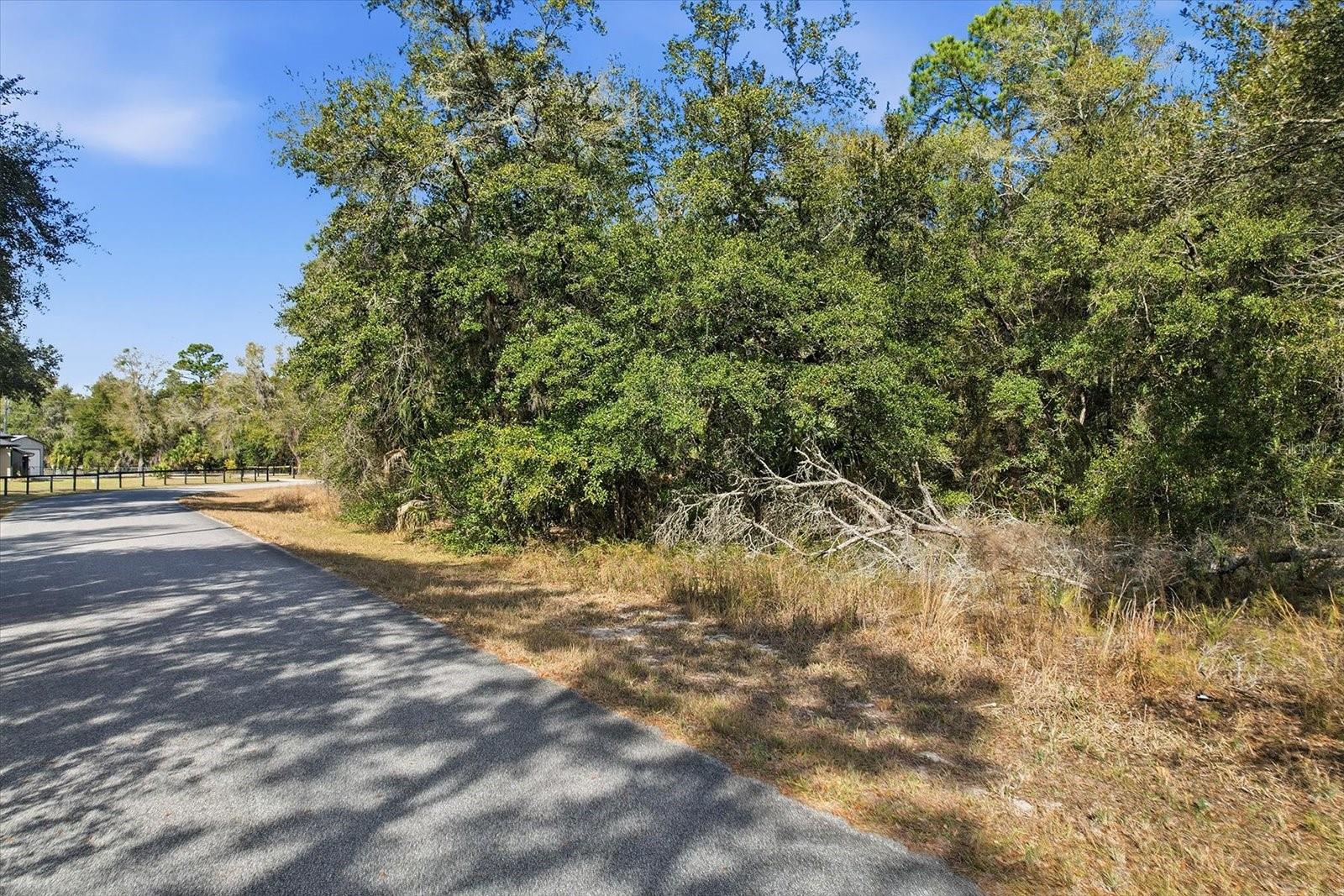 Image 9 of 15 For 9659 Cacalia Drive