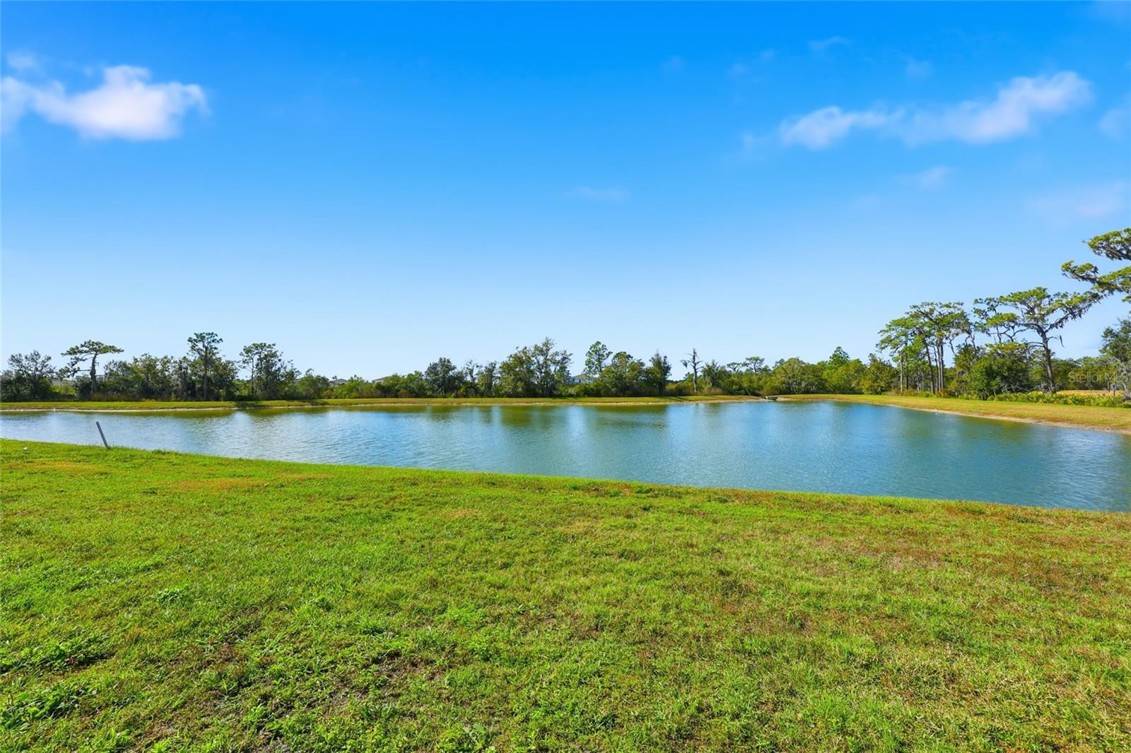 Image 31 of 56 For 32992 Major Oak Drive