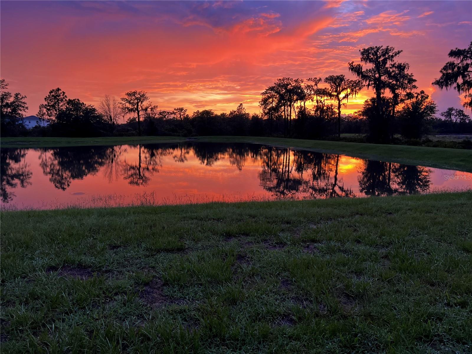 Image 32 of 56 For 32992 Major Oak Drive