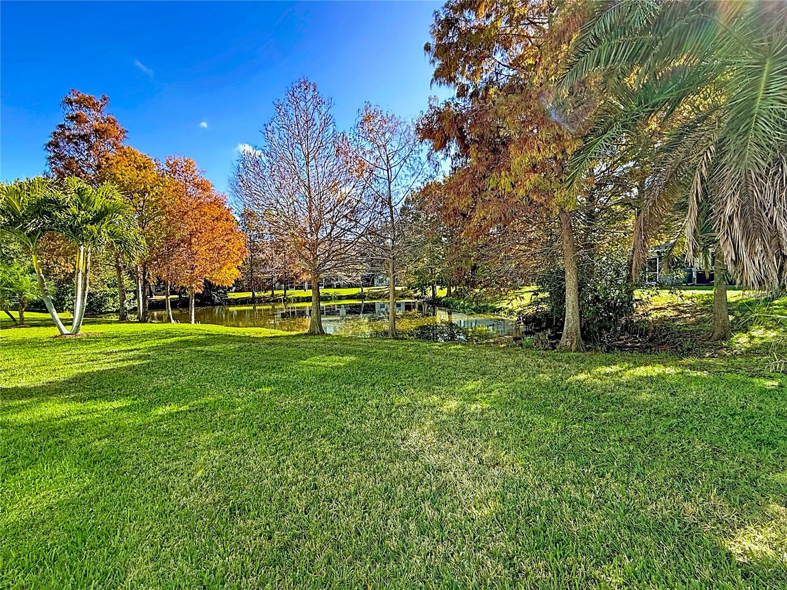 Image 19 of 60 For 11117 Kapok Grand Circle