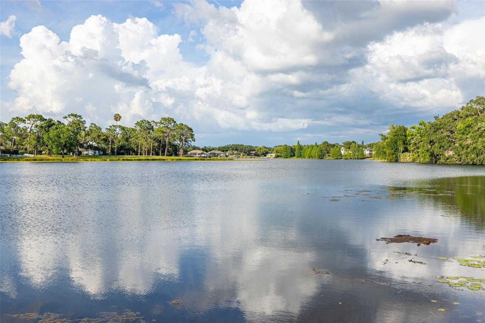 Image 3 of 38 For 2533 Habana Place