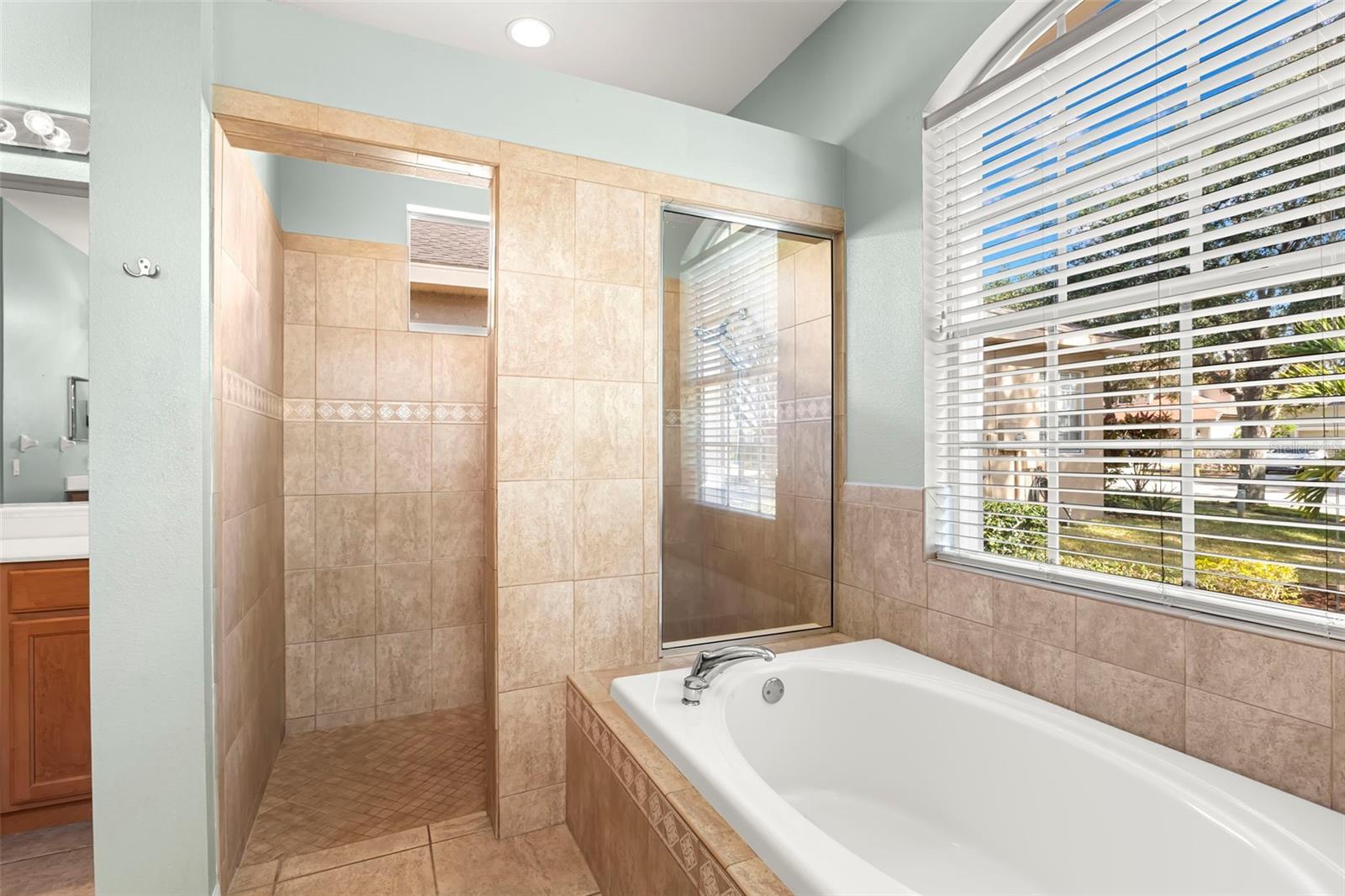 Image 37 of 70 For 15321 Vireoglen Lane