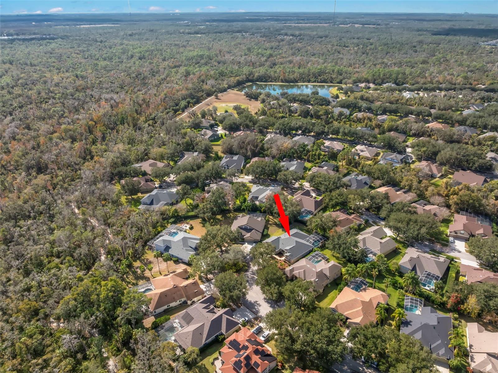 Image 52 of 70 For 15321 Vireoglen Lane