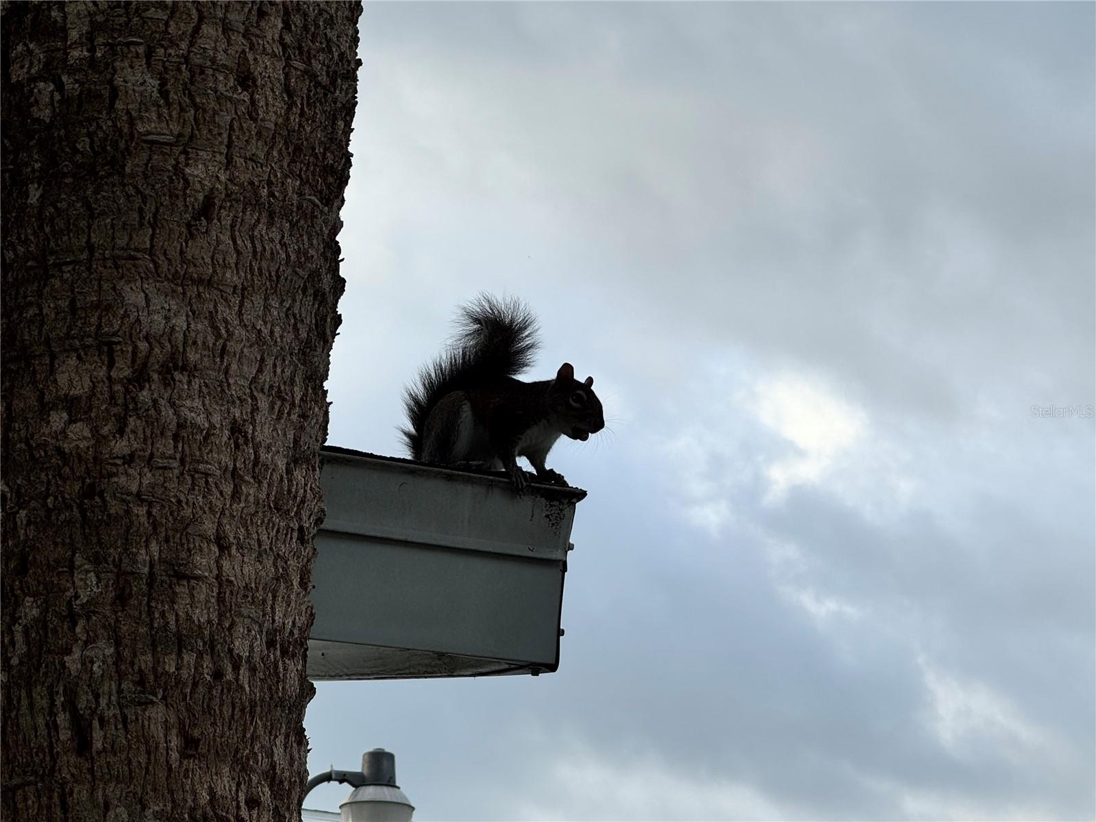 Image 38 of 38 For 1826 Sunny Drive D26