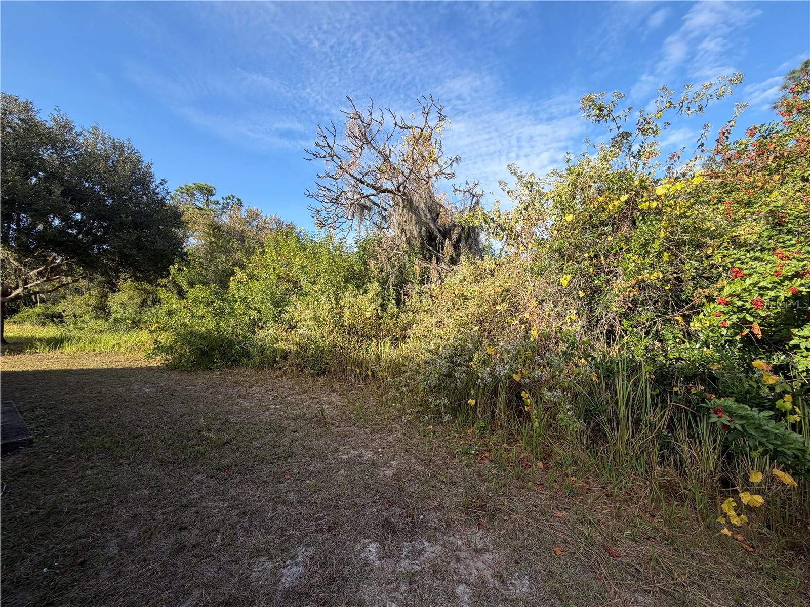 Image 19 of 19 For 11701 Brenford Crest Drive