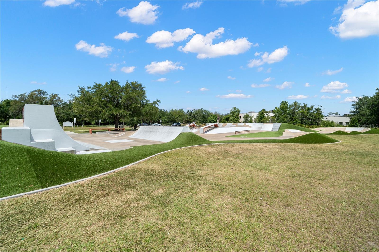 Image 87 of 88 For 5906 Fishhawk Crossing Boulevard