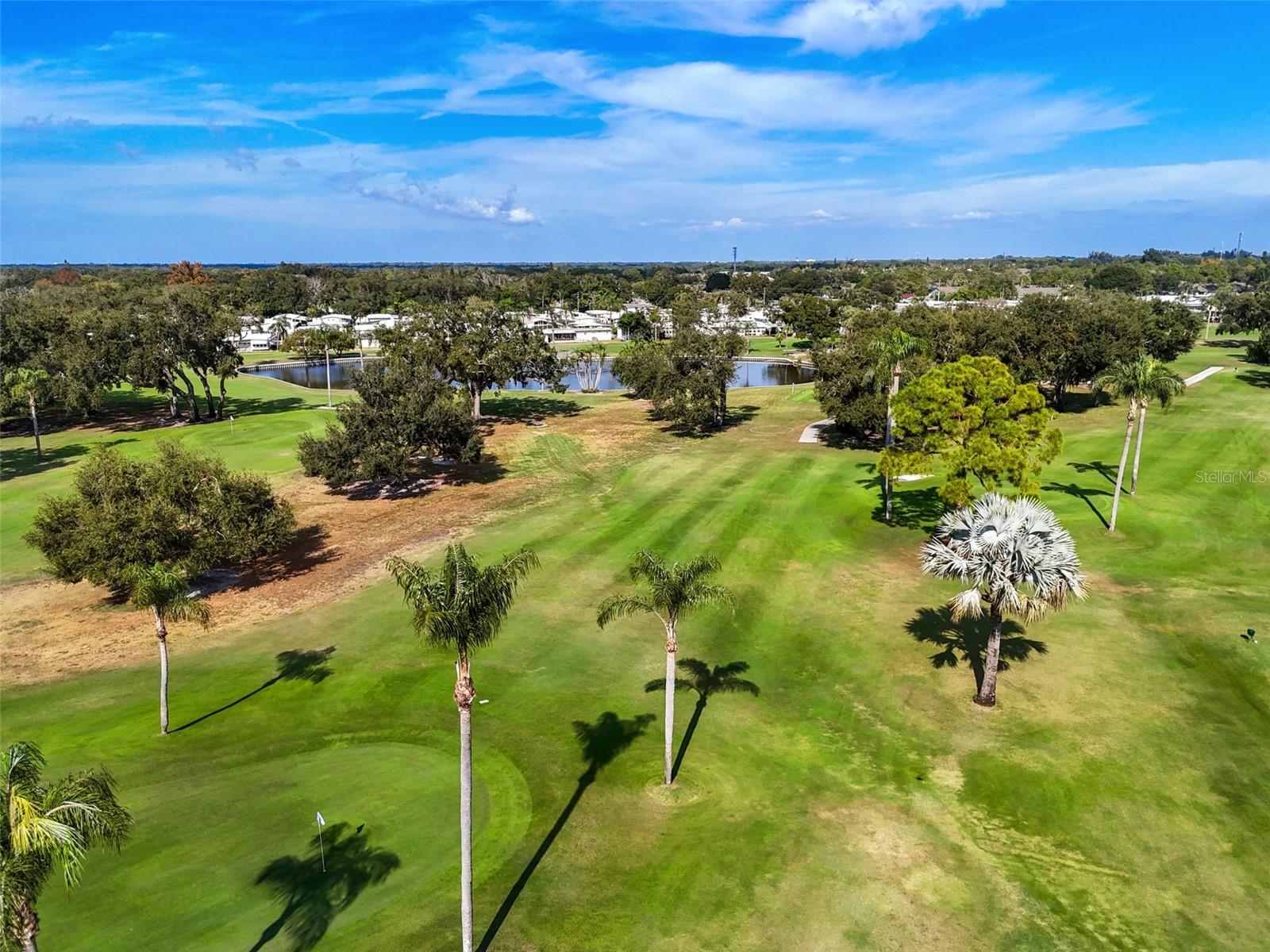 Image 55 of 60 For 1100 Belcher Road S 210