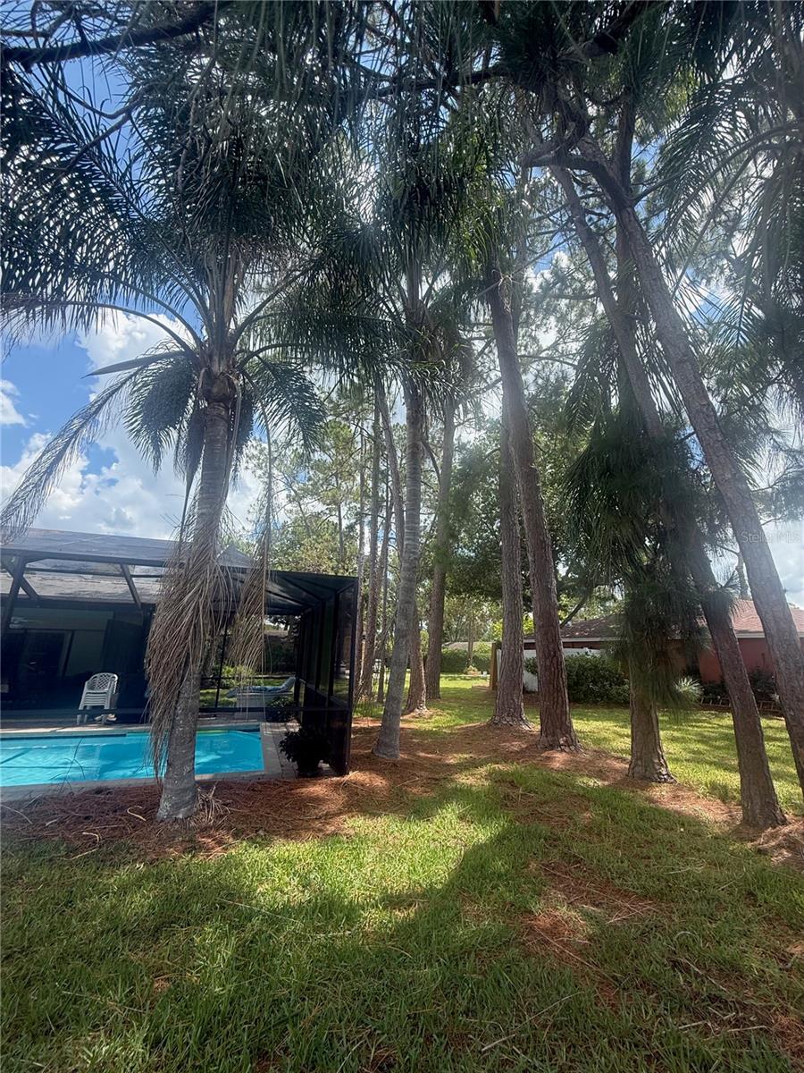 Image 45 of 47 For 2215 Toniwood Lane