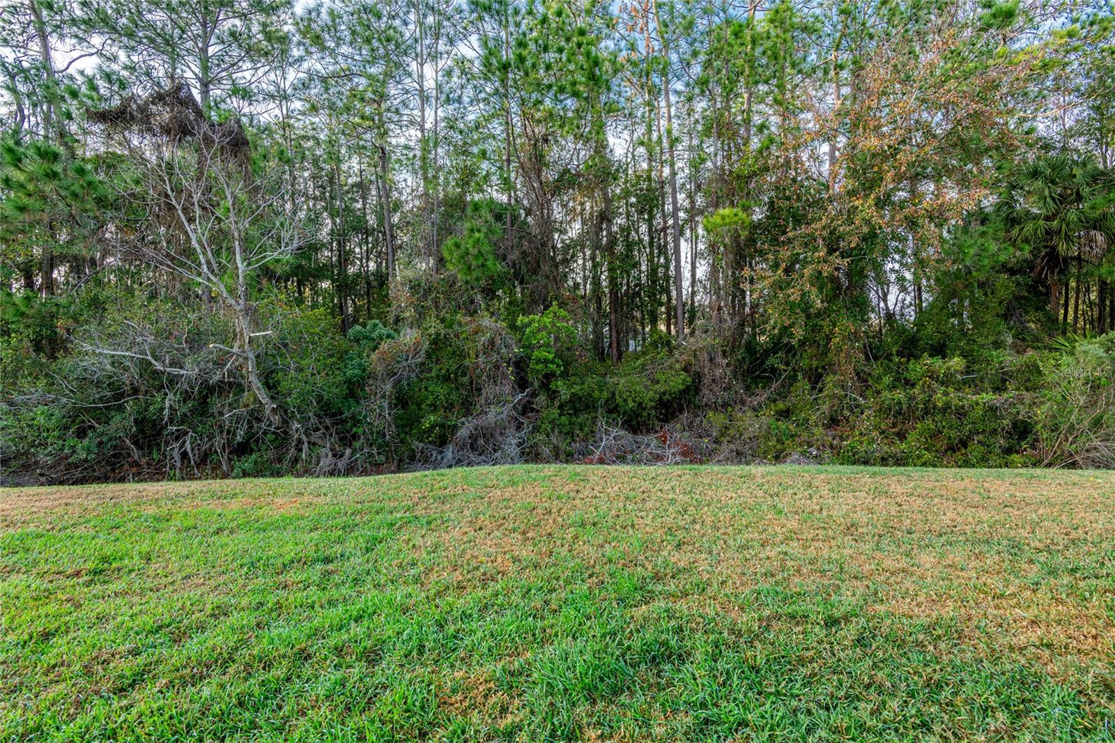 Image 9 of 41 For 1627 Sassafras Drive