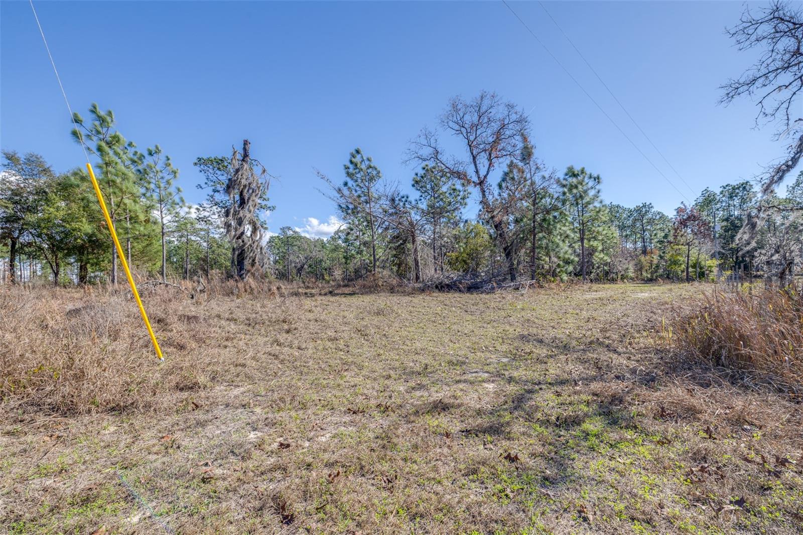 Image 18 of 24 For 5555 Muslin Terrace