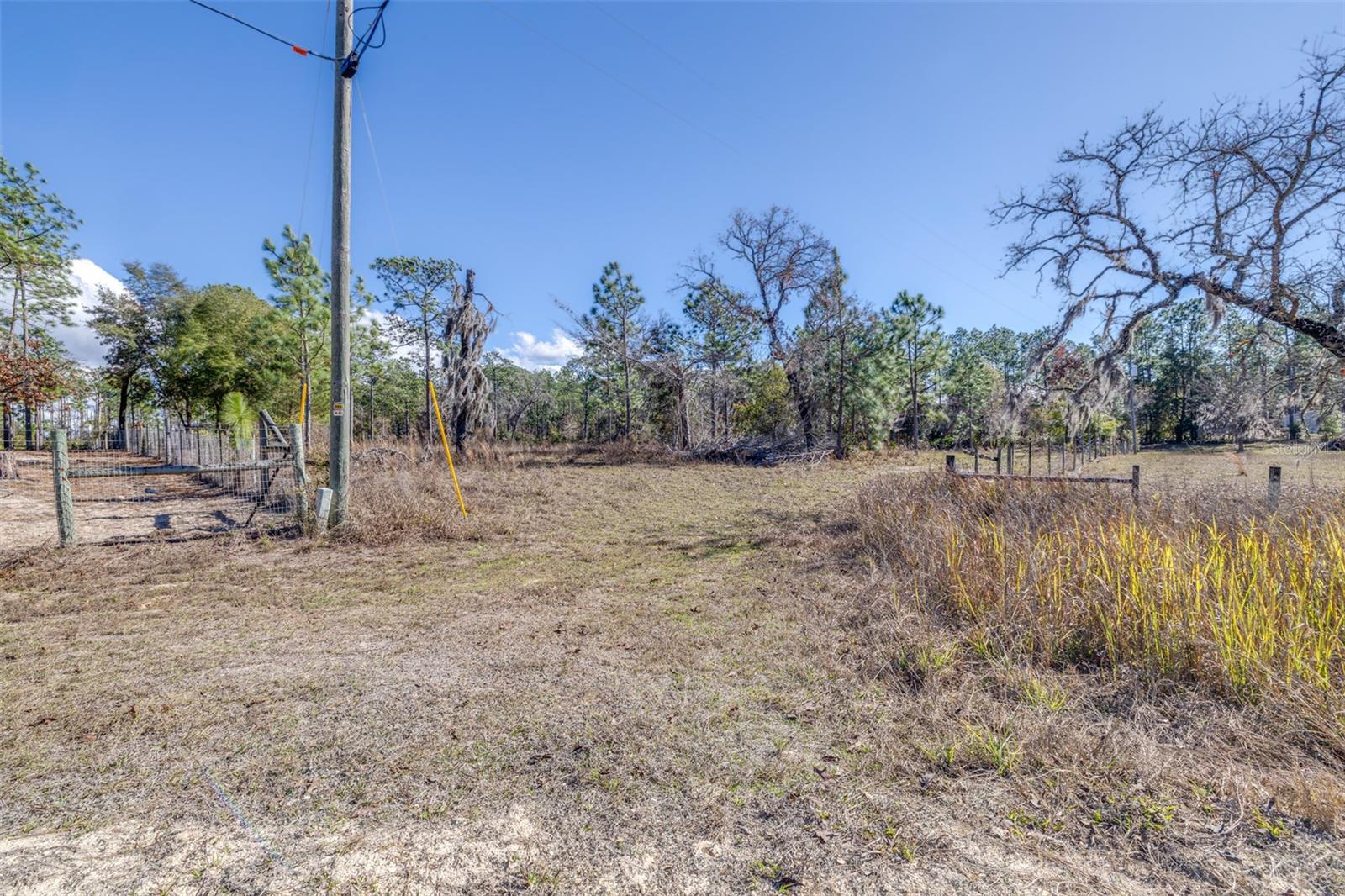 Image 19 of 24 For 5555 Muslin Terrace