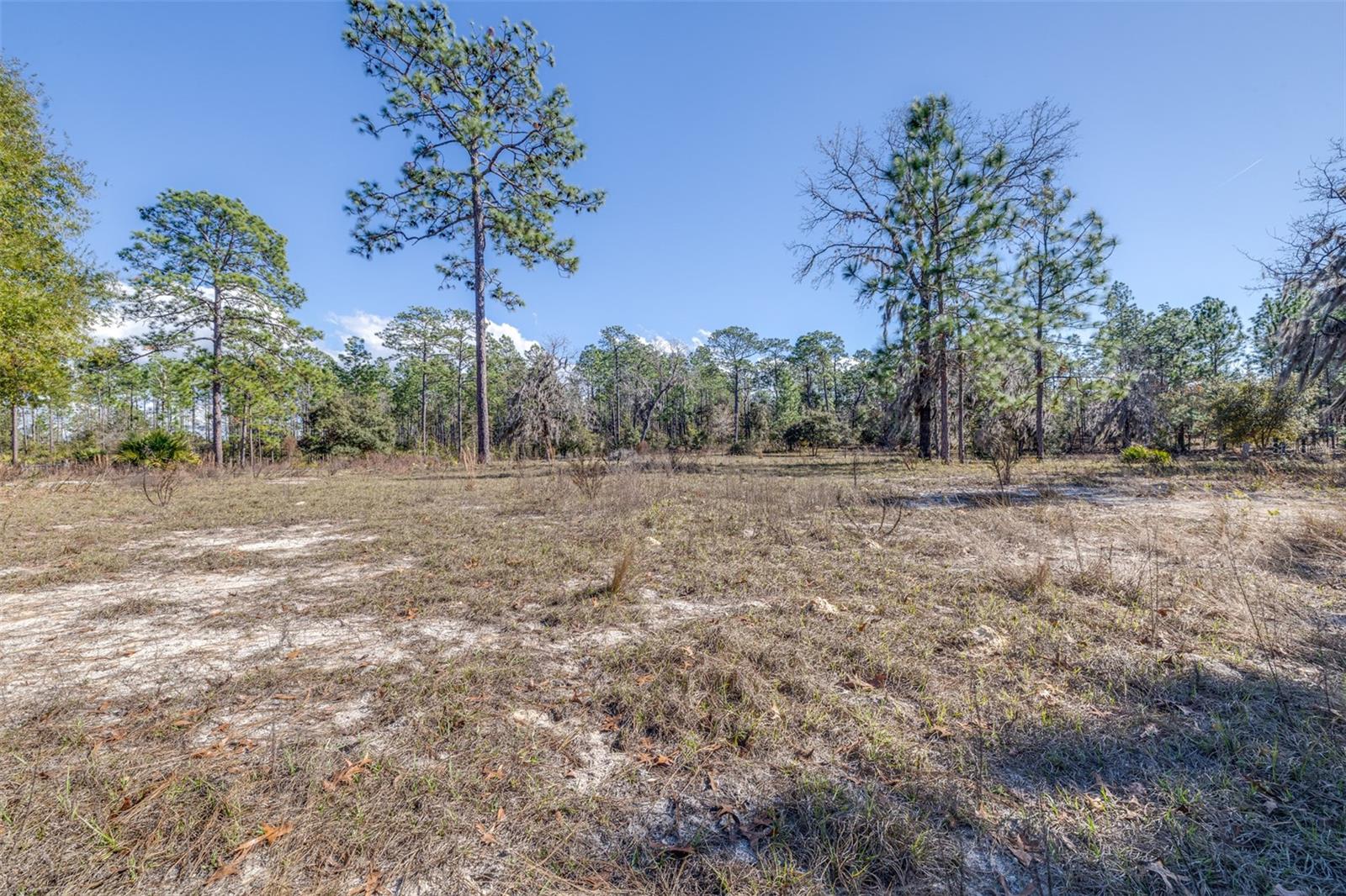 Image 21 of 24 For 5555 Muslin Terrace