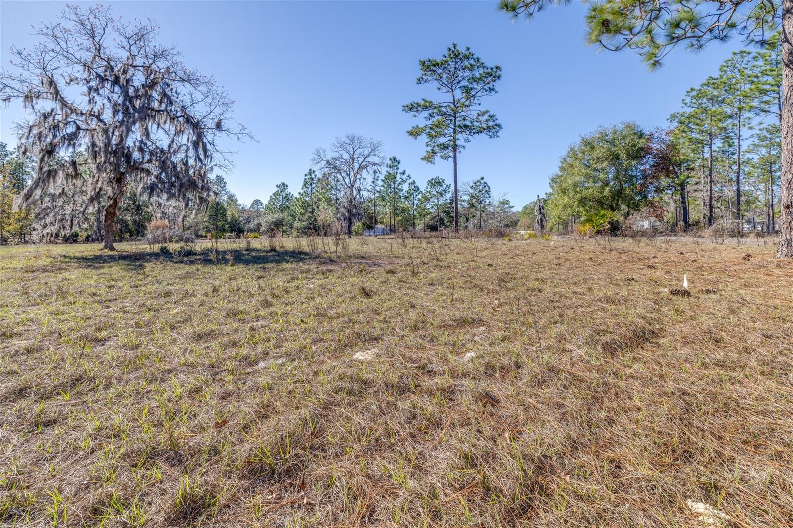 Image 23 of 24 For 5555 Muslin Terrace