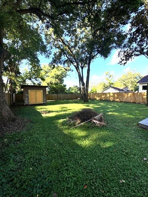 Image 4 of 19 For 310 Alfred Street