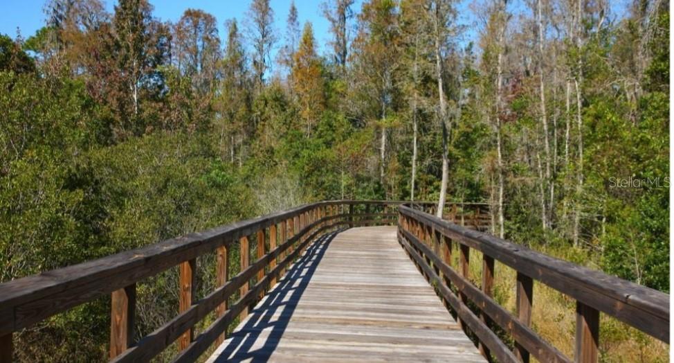 Image 34 of 39 For 21842 Lyonia Lane