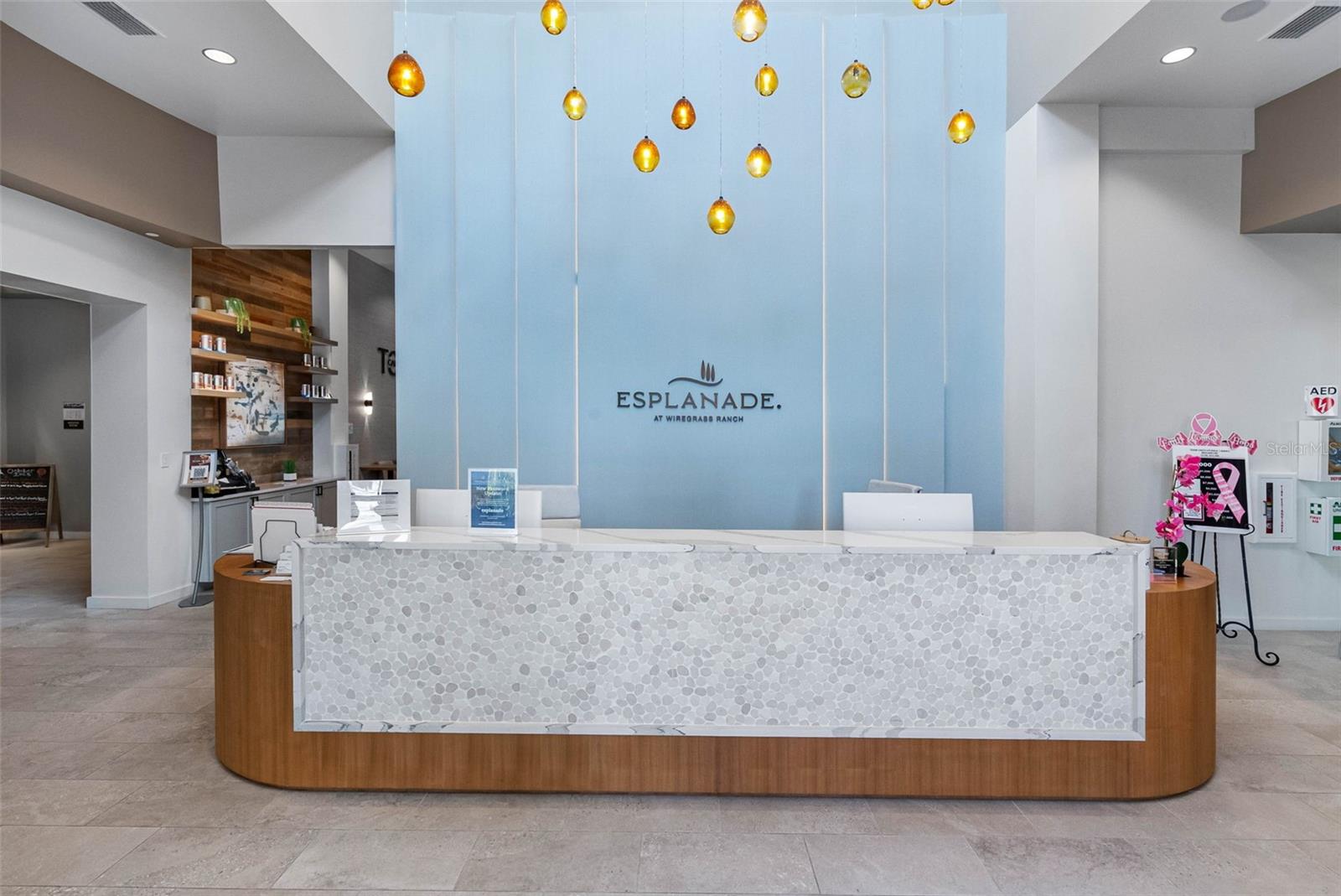 Image 44 of 45 For 29477 Velletri Lane