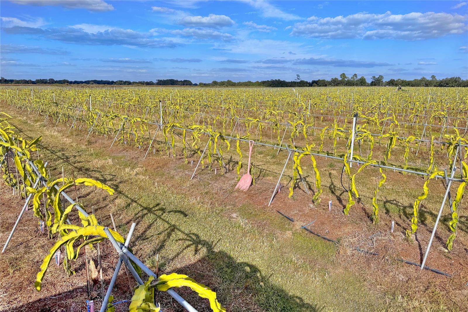 Image 95 of 98 For 6018 County Road 661a