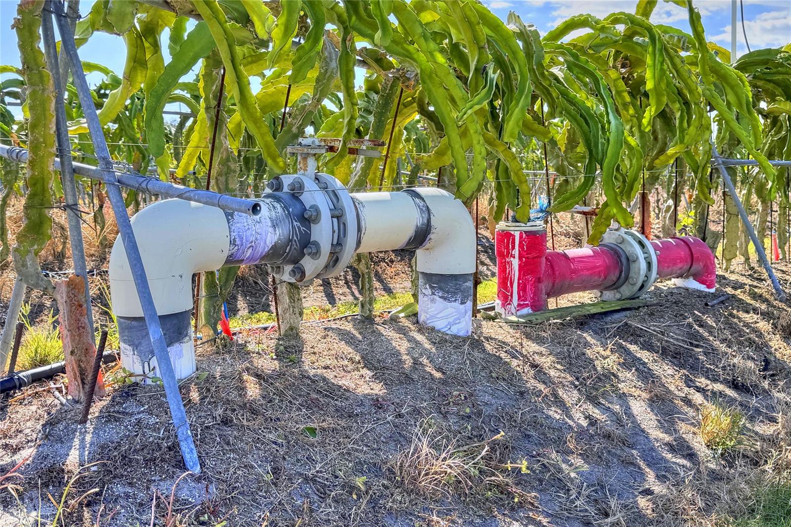 Image 98 of 98 For 6018 County Road 661a
