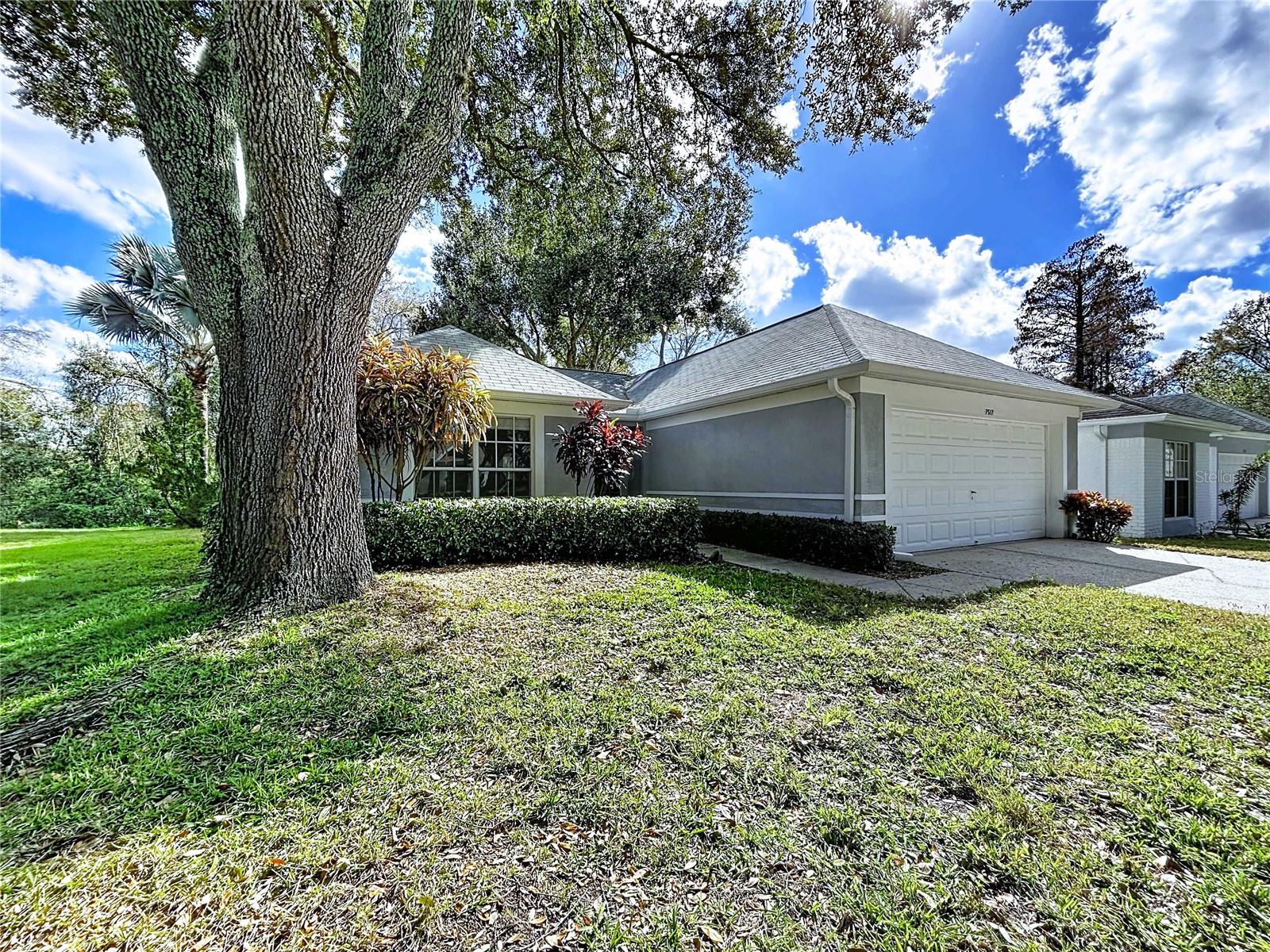 Details for 7517 Savannah Lane, TAMPA, FL 33637