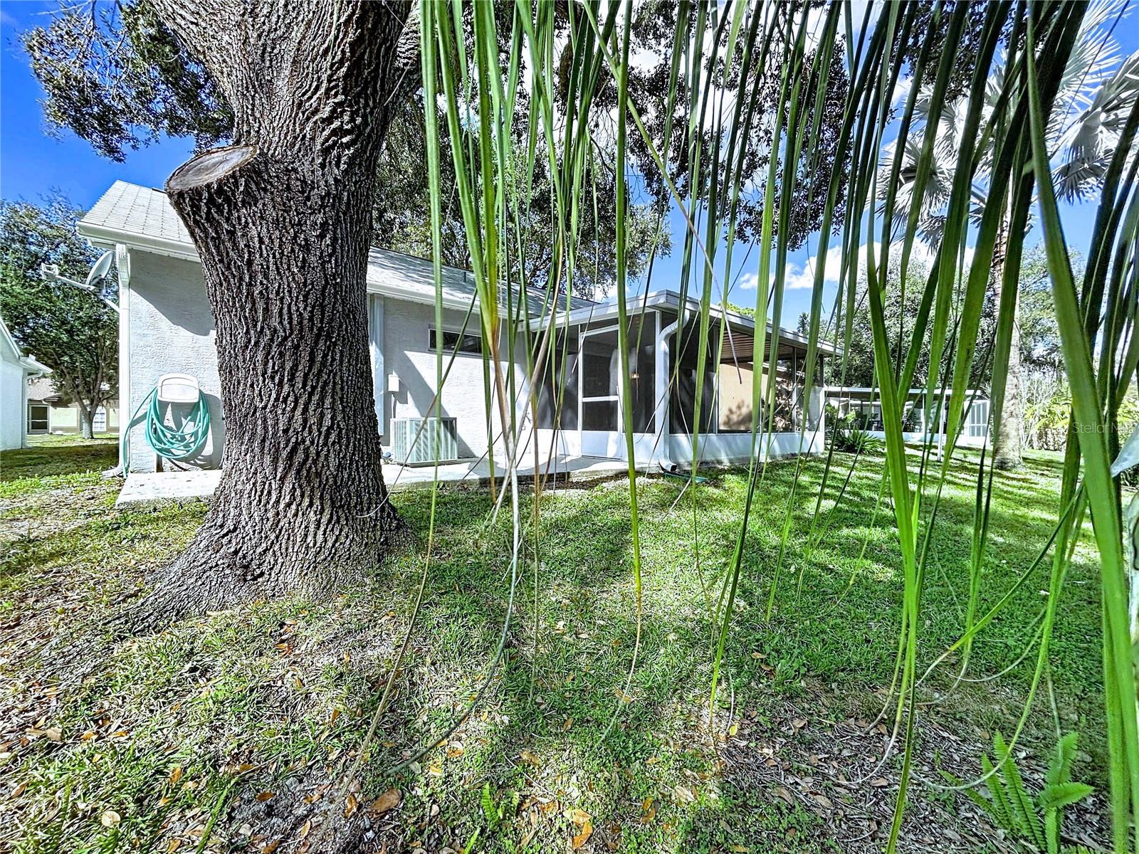 Image 20 of 76 For 7517 Savannah Lane